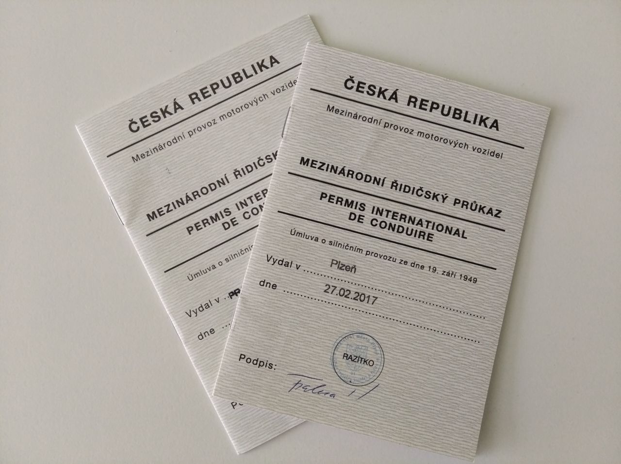 International Driving Licence